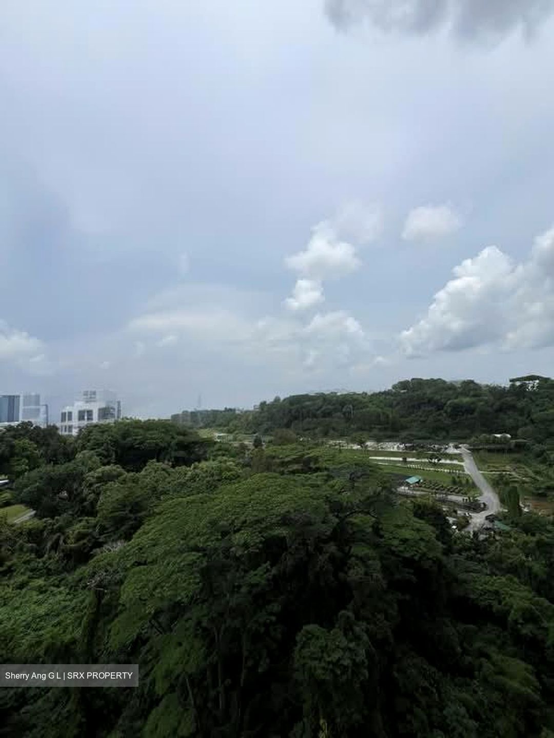 Normanton Park (D5), Apartment #604329171